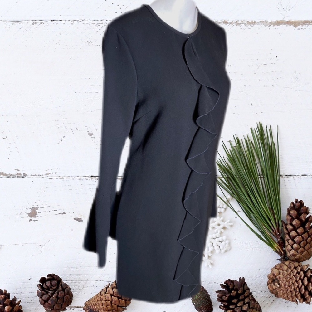 Rachel Zoe Moner Dress Black Ruffle Trumpet Sleeve